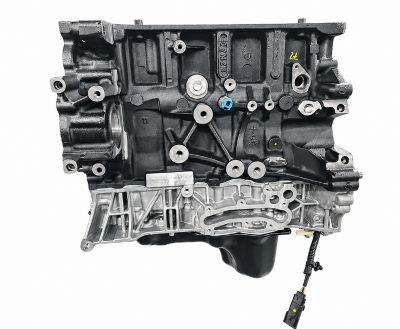 Ford 2.0 EcoBlue 4WD fabriksnytt shortblock